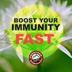 Boost Your Immune System