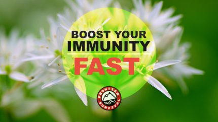 Boost Your Immune System