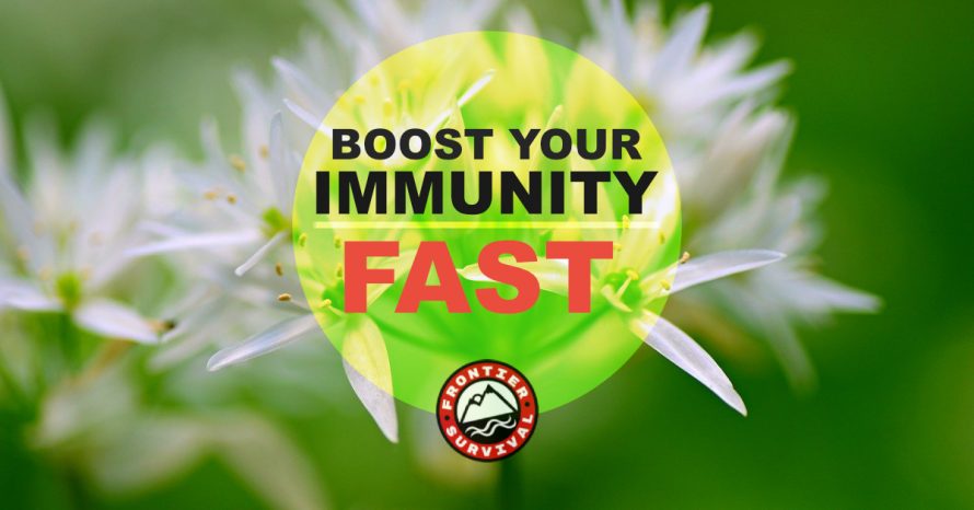 Boost Your Immune System