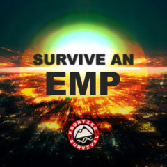 Survive EMP