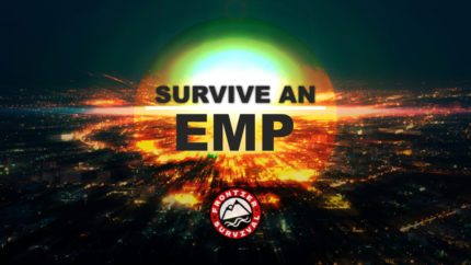 Survive EMP